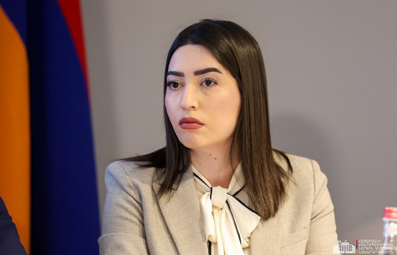 Министр внутренних дел Армении Арпине Саргсян на брифинге о выборах