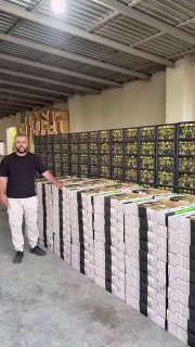Отправка первой партии армянских абрикосов в Сингапур компанией Davtyan Farms, Аштарак
