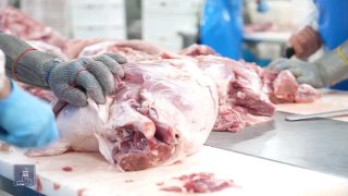 Производственный цех компании «Атенк» в Аштараке, Арагацотнская область