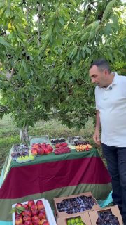 Первая партия армянских фруктов из Арагацотна отправляется в ОАЭ компанией Araratyan Farm