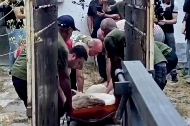 Львица из особняка Гагика Царукяна в Аштараке