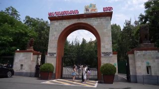 Животные в карантинной зоне Ереванского зоопарка после перевозки из особняка Царукяна